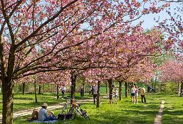 Frühling