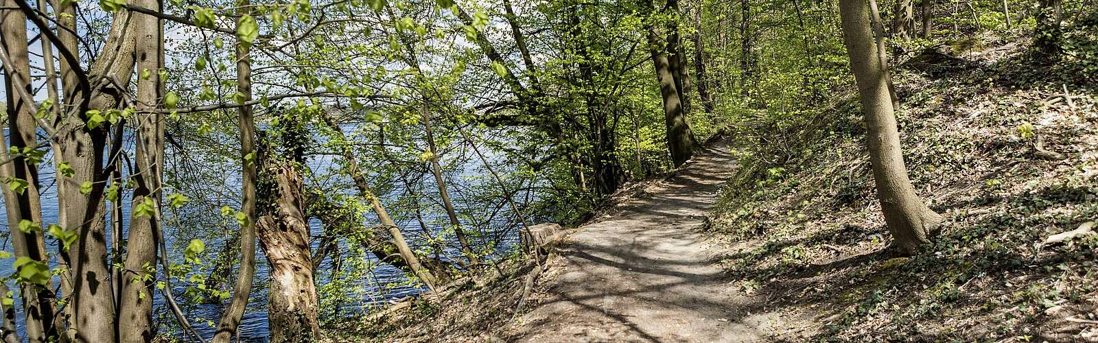 Wanderweg am Wasser bei Rüdersdorf,
        
    

        Foto: TMB-Fotoarchiv/Steffen Lehmann