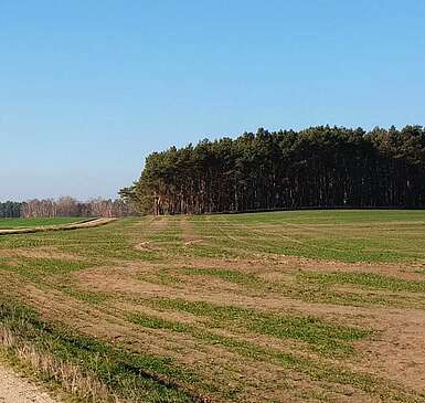 Naturpark Niederlausitzer Landrücken