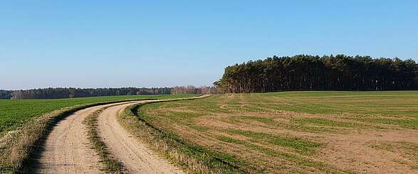 Auf in den Märchenwald