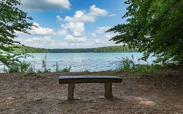 Bank mit Aussicht auf den Stechlinsee