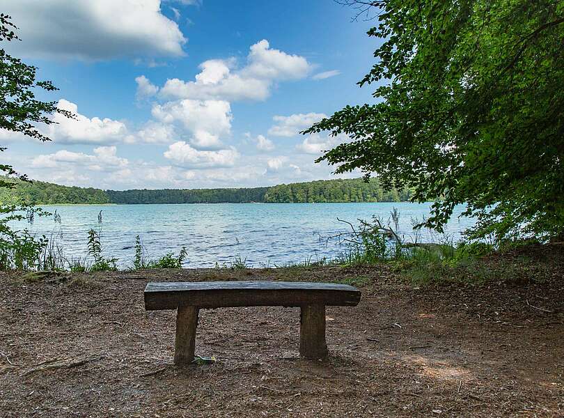 Bank mit Aussicht auf den Stechlinsee