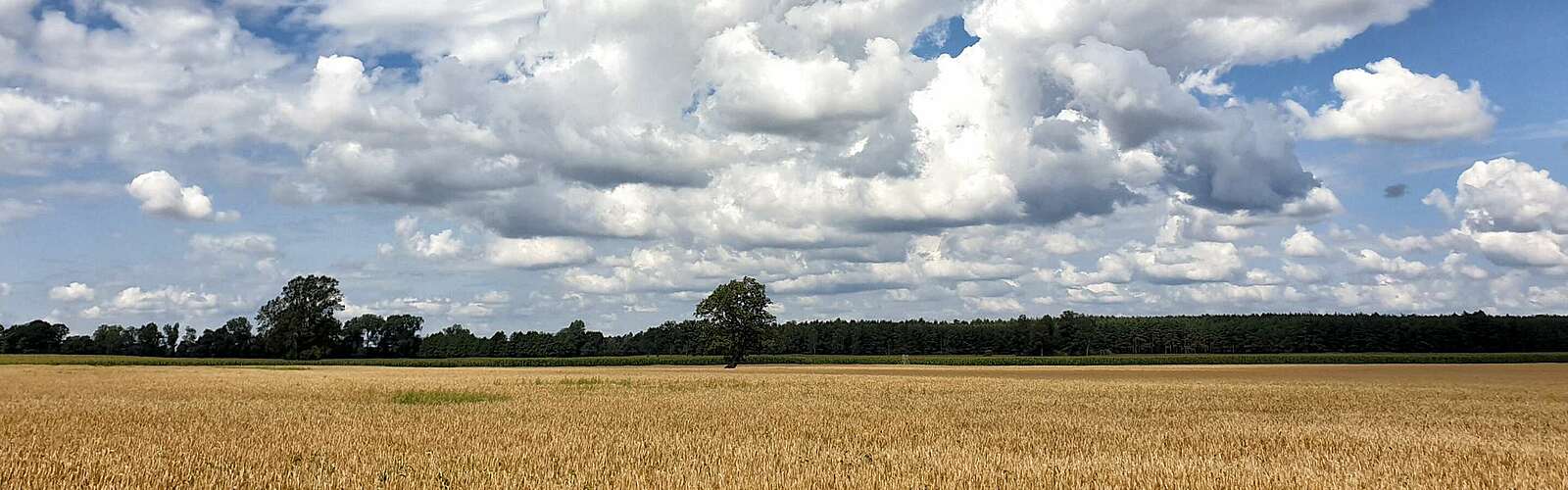 Annenpfad in der Prignitz,
        
    

        Foto: TMB-Fotoarchiv/Frank Meyer