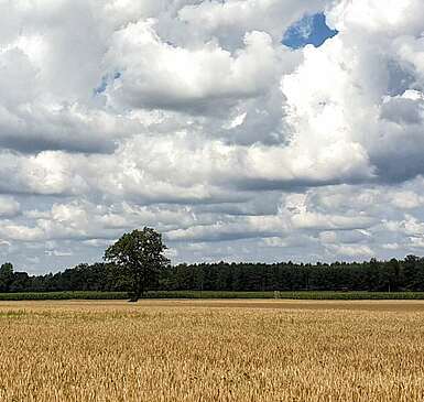 Wandern auf dem Annenpfad