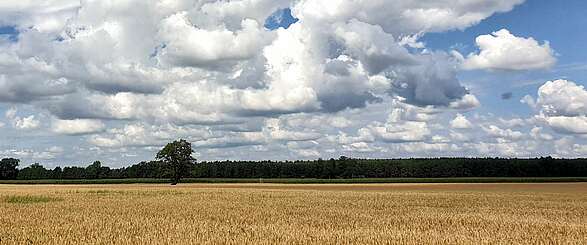 Wandern auf dem Annenpfad