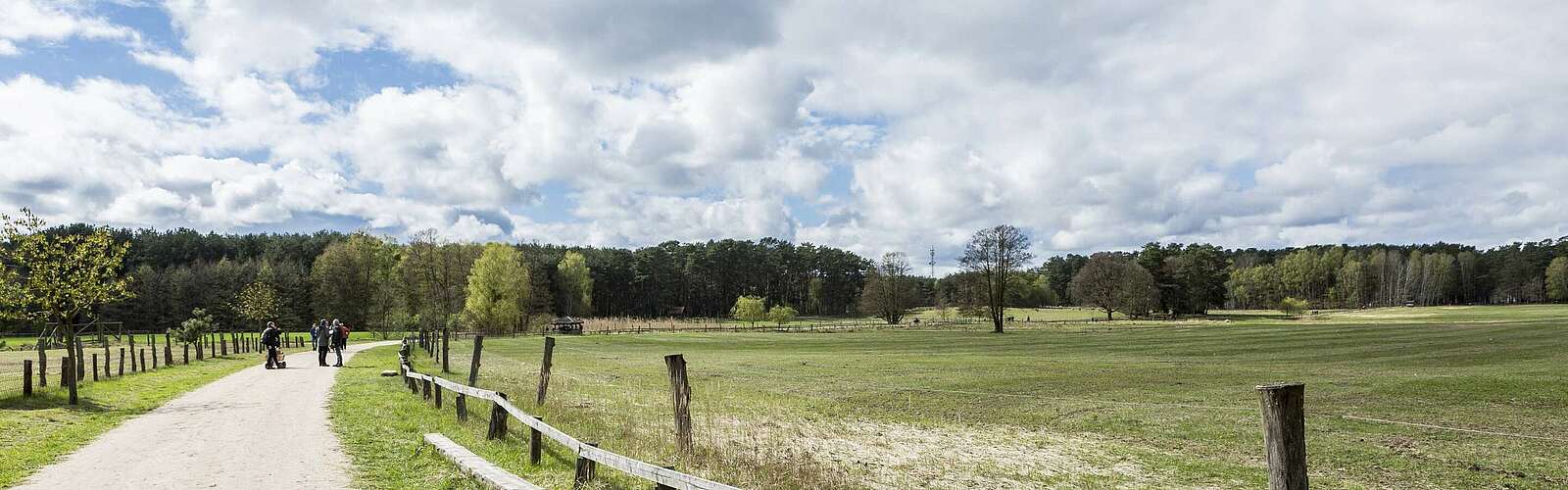 Wildpark Schorfheide,
        
    

        Foto: TMB-Fotoarchiv/Steffen Lehmann