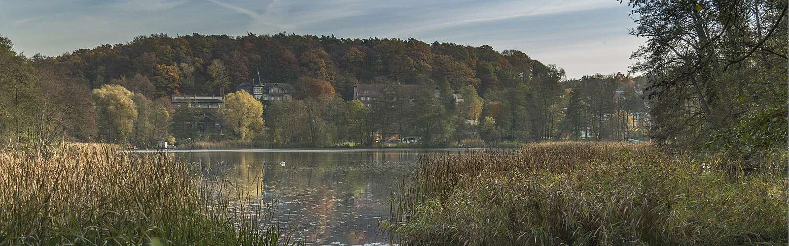 Blick auf den Schermützelsee bei Buckow,
        
    

        Foto: TMB-Fotoarchiv/Steffen Lehmann