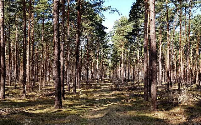 Fontanewanderweg im Dahme-Seenland