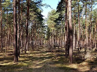Fontanewanderweg im Dahme-Seenland
