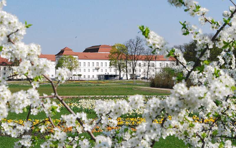 



        
            Schloss und Schlosspark Oranienburg,
        
    

        
            Foto: TKO gGmbH
        
        
    