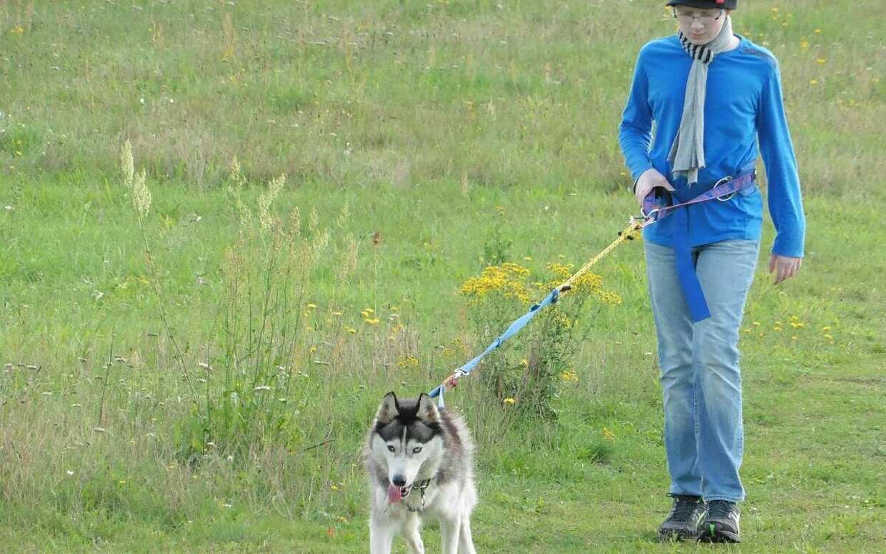 Barrierefreie Husky-Wanderung