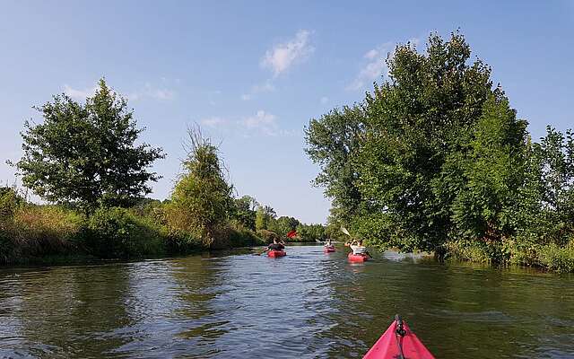 Mit dem Kajak unterwegs im Spreewald