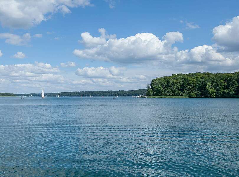 Segelboote auf dem Werbellinsee 