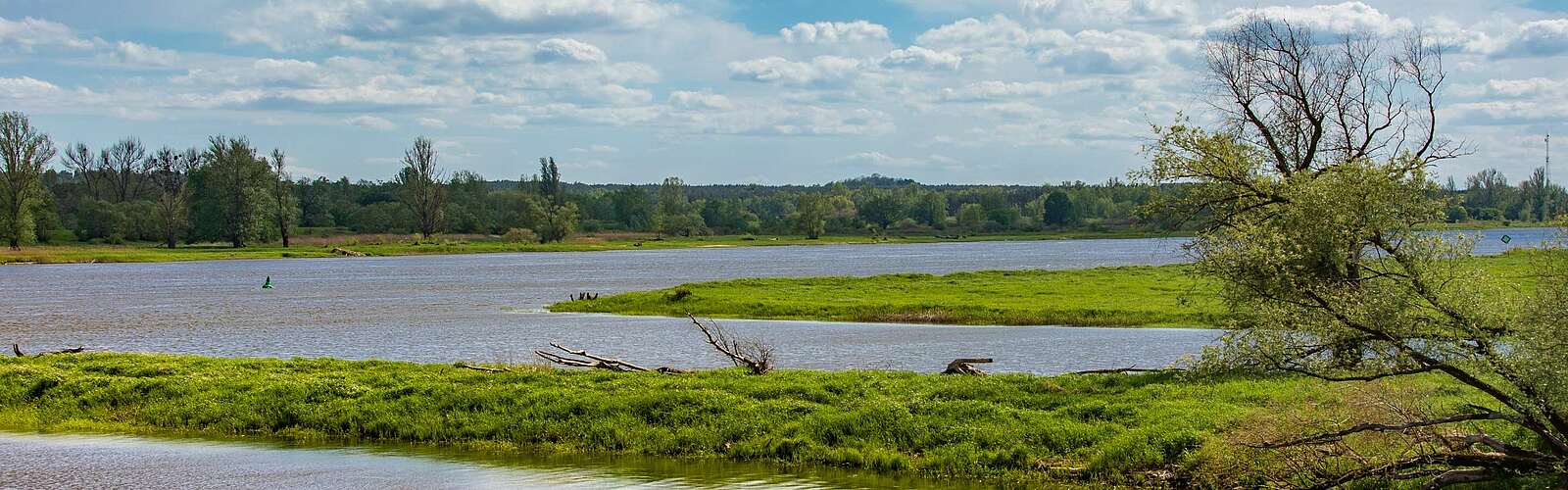 Blick auf die Wiesen im Oderbruch bei Hohenwutzen,
        
    

        Foto: TMB-Fotoarchiv/Steffen Lehmann