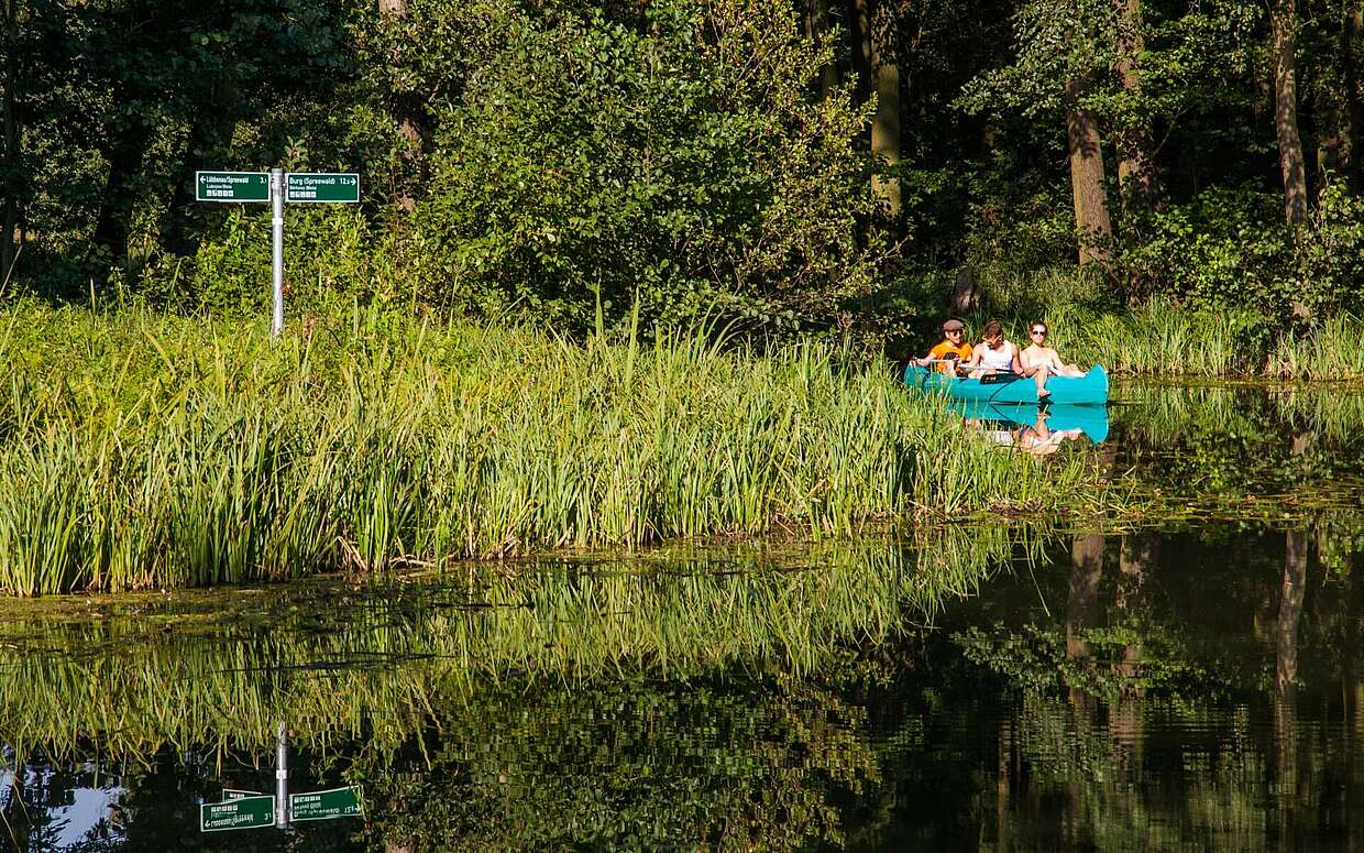 Kanutour im Spreewald