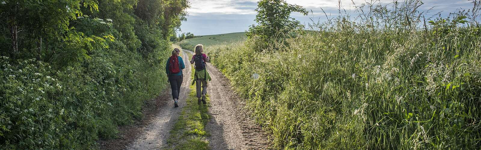 Zwei Wanderer auf einem Feldweg,
        
    

        Foto: tmu GmbH/Klaus-Peter Kappest