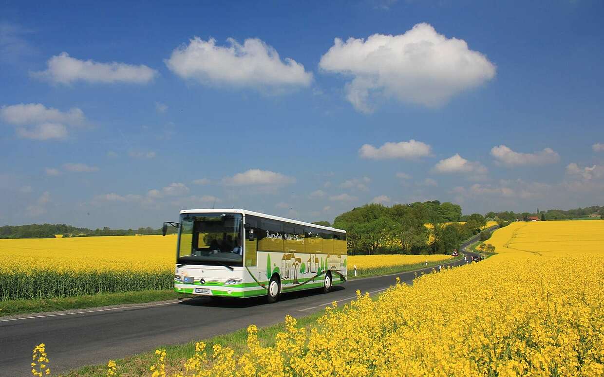 Ein Bus der Fläminger Burgenlinie fährt zwischen Rapsfeldern