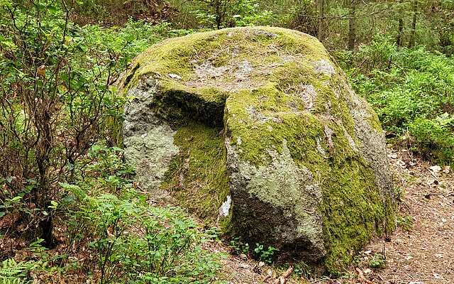 Findlingswanderweg im Hohen Fläming