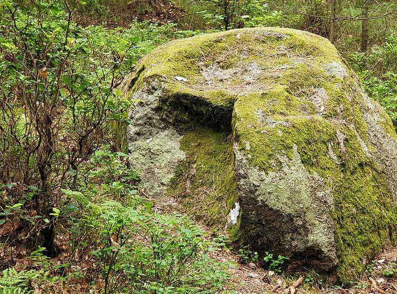 Findlingswanderweg im Hohen Fläming