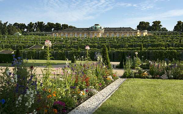 Blick auf Schloss Sanssouci