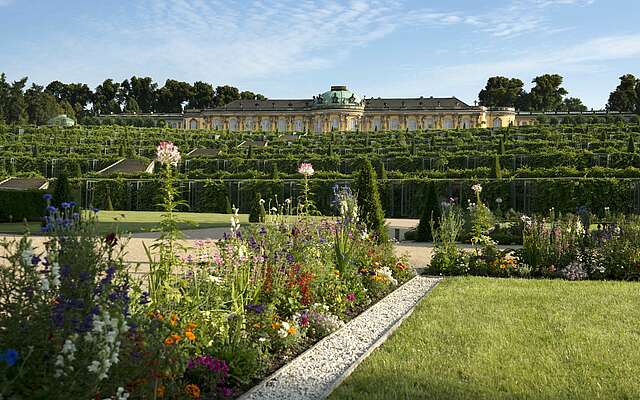 Blick auf Schloss Sanssouci