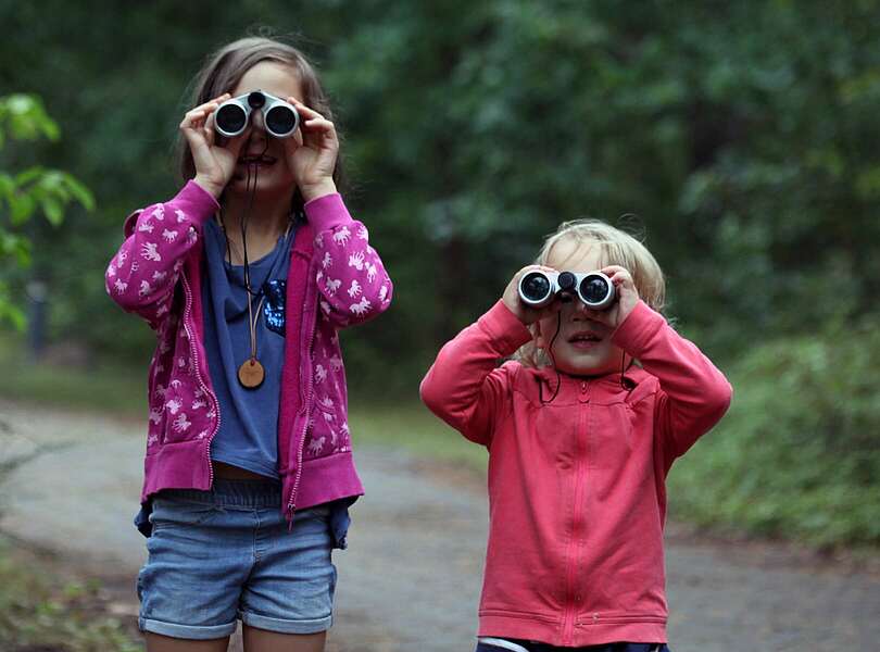 Mit dem Fernglas die Natur entdecken