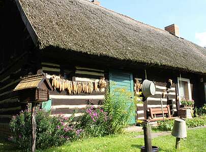 Bauernhaus im Freilandmuseum Lehde