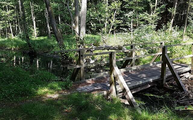 Pregnitzfließ im Naturpark Barnim