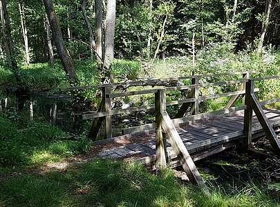 Pregnitzfließ im Naturpark Barnim