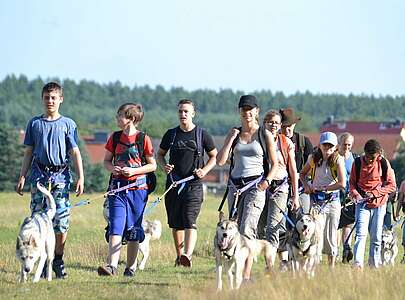 Wanderung mit Huskies