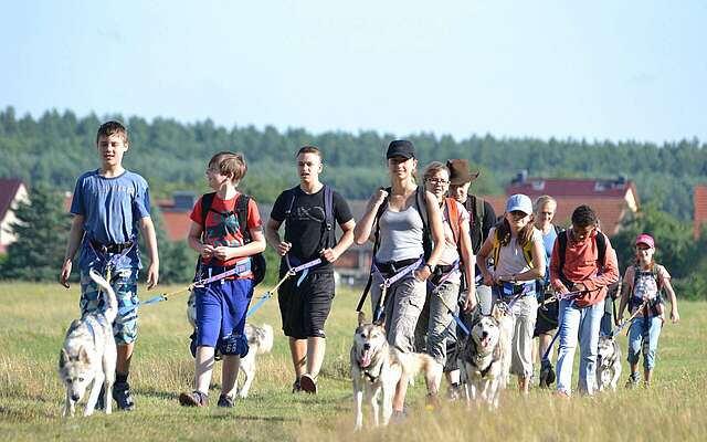 Wanderung mit Huskies