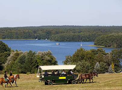 Kremserfahrt am Großen Lychensee