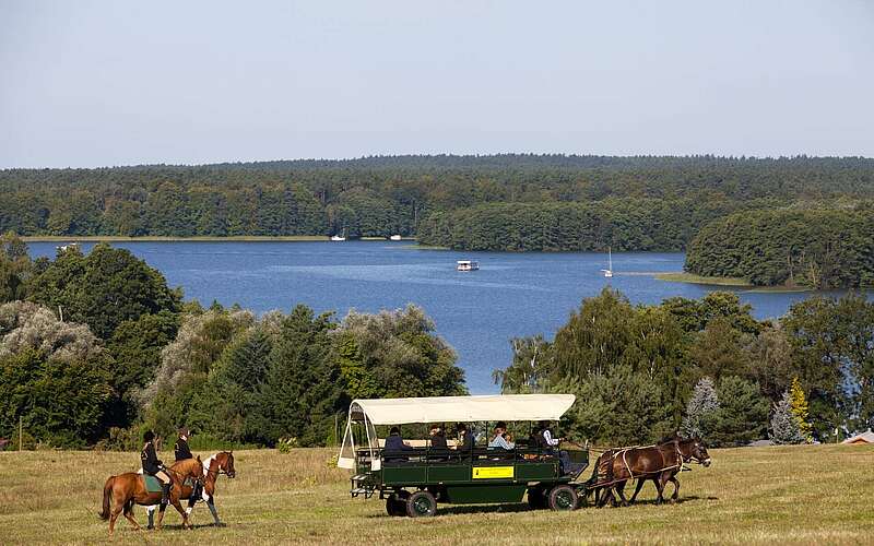 



        
            Kremserfahrt am Großen Lychensee,
        
    

        Foto: TMB-Fotoarchiv/TV Lychen/Paul Hahn
    