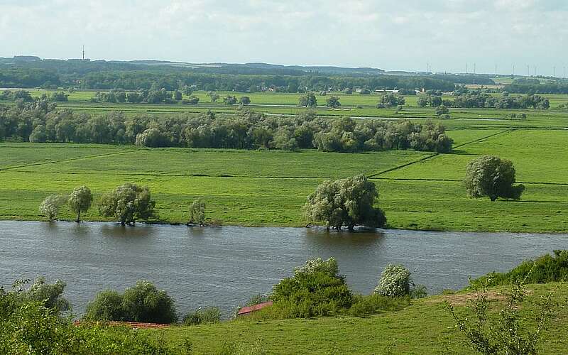 



        
            Blick in den Nationalpark Unteres Odertal,
        
    

        Foto: TMB-Fotoarchiv/Ronald Keusch
    