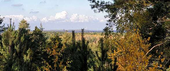 Herbstleuchten in der Calauer Schweiz