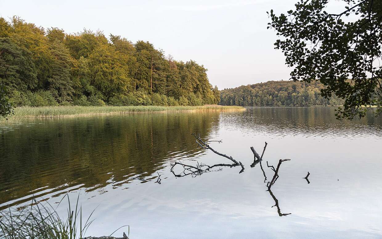 Blick über den Regenbogensee
