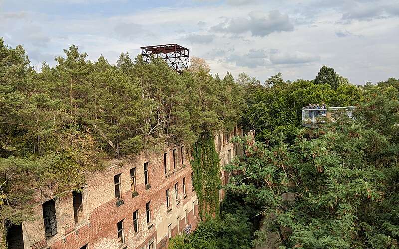 



        
            Ausblick vom Baumkronenpfad,
        
    

        Foto: TMB-Fotoarchiv/Antje Tischer
    