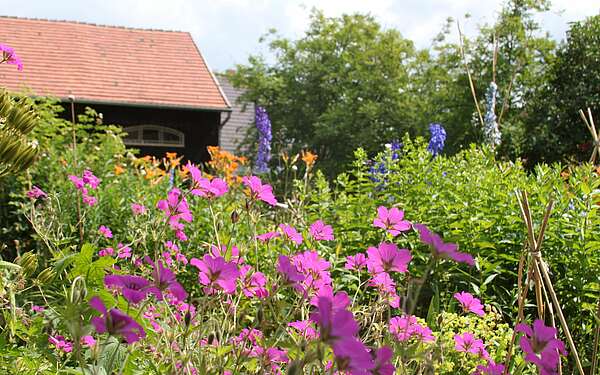 Blühender Bauerngarten der Blumenmalerin