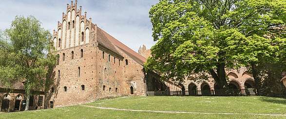 Es muht und grunzt im Kloster Chorin