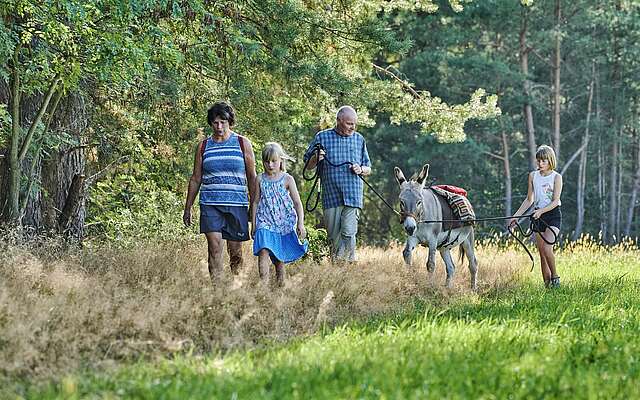 Familie läuft mit Esel über ein Feld