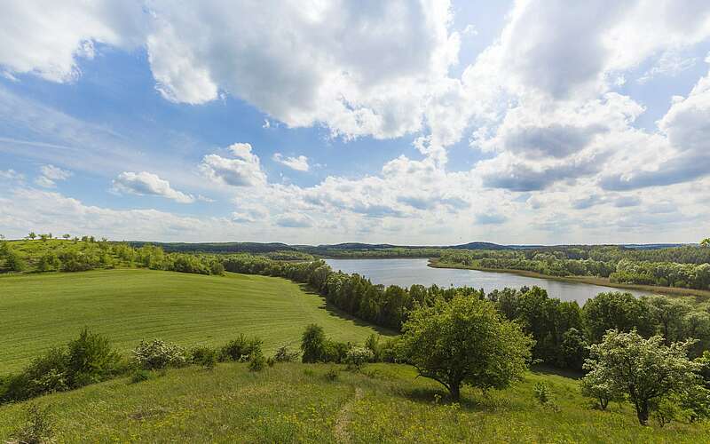 



        
            Rummelsberg bei Brodowin,
        
    

        Foto: TMB-Fotoarchiv/Steffen Lehmann
    