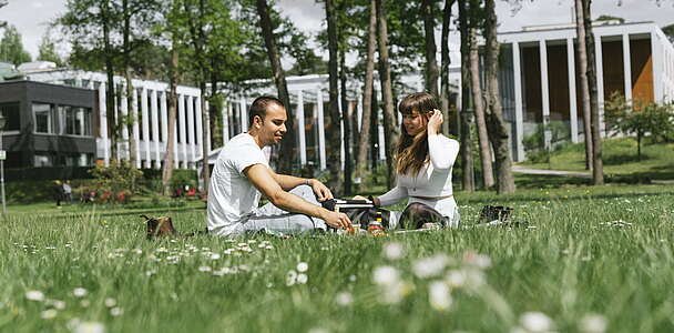 Picknick auf der Wiese