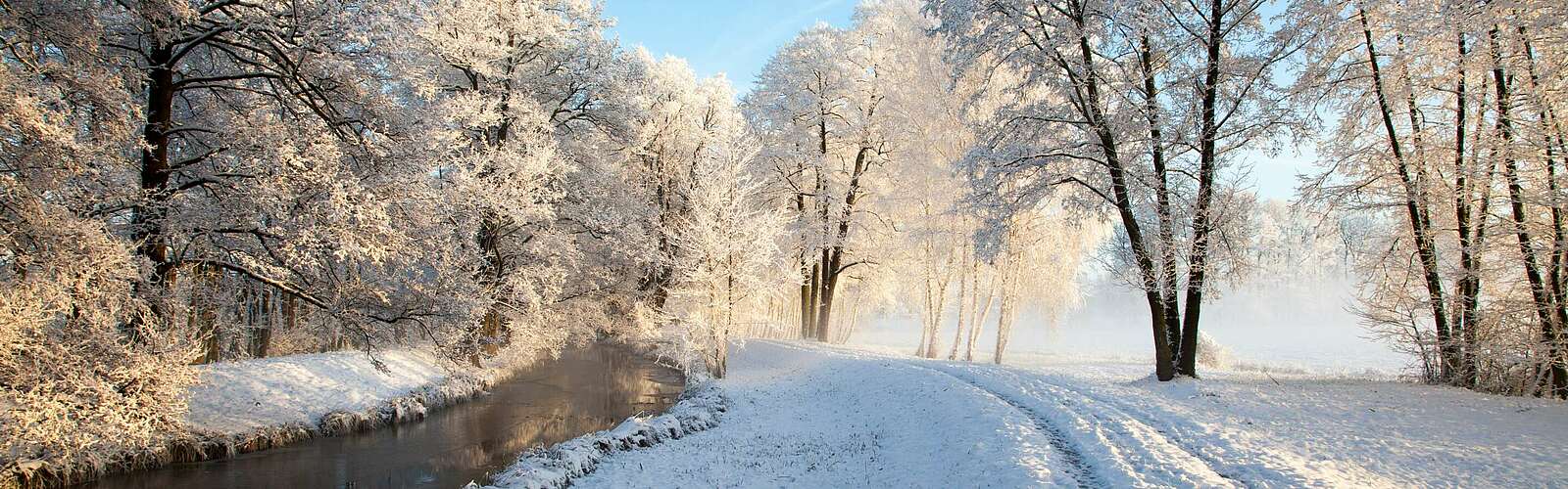 Winter im Spreewald,
        
    

        Foto: TMB-Fotoarchiv/Peter Becker