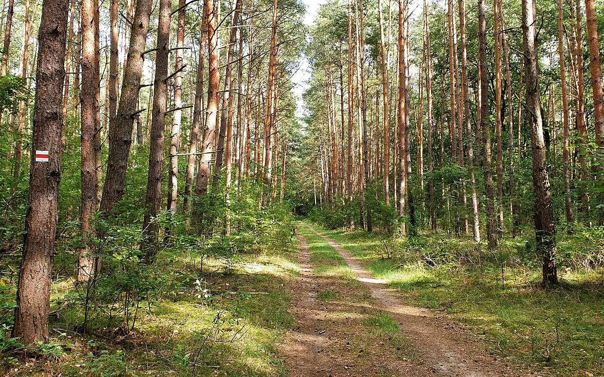 Wanderung auf dem Jakobsweg