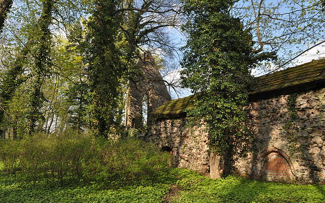 Die Klosterruine in Lindow