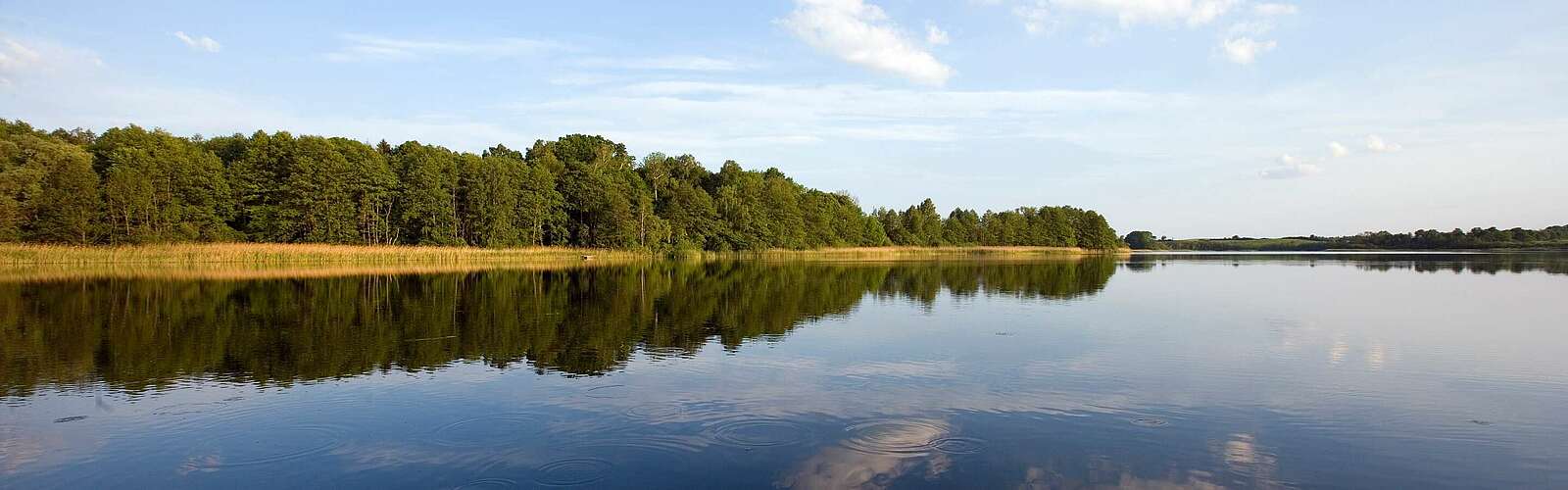 Werbellinsee in der Schorfheide,
        
    

        Foto: TMB-Fotoarchiv/Paul Hahn