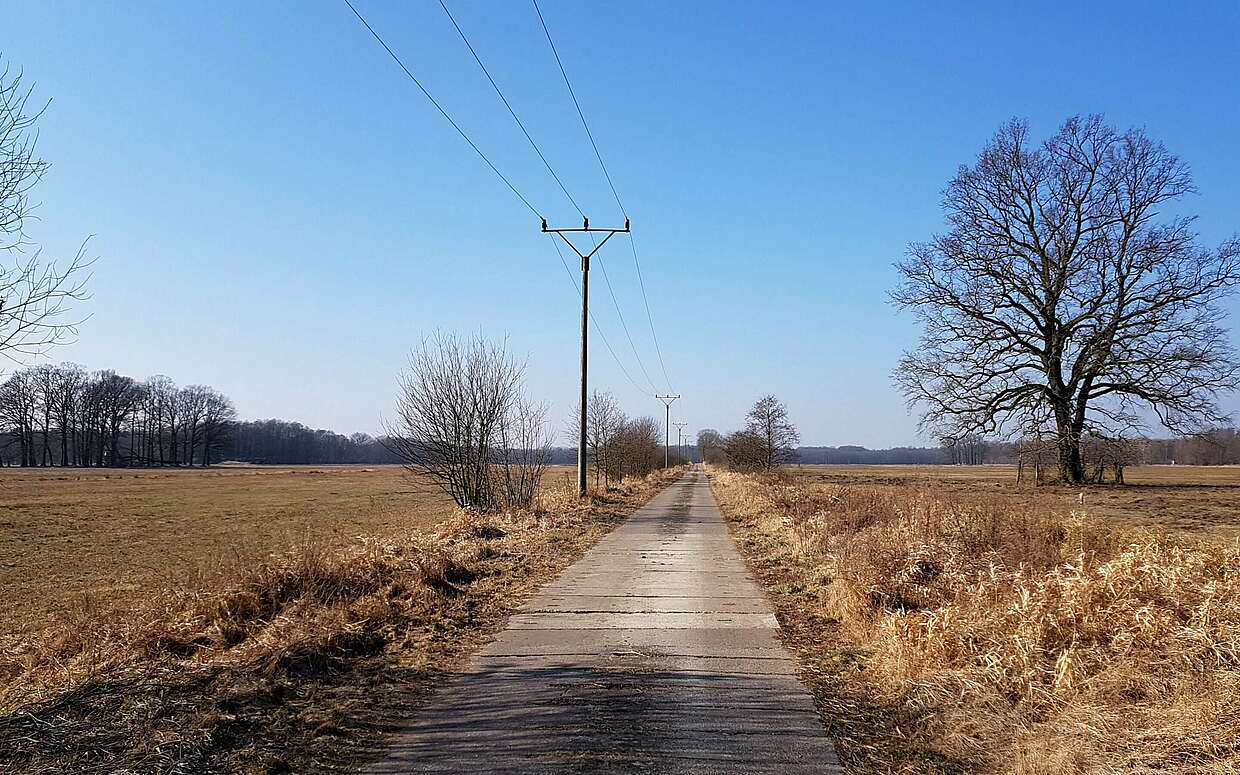 Spreewald im Winter