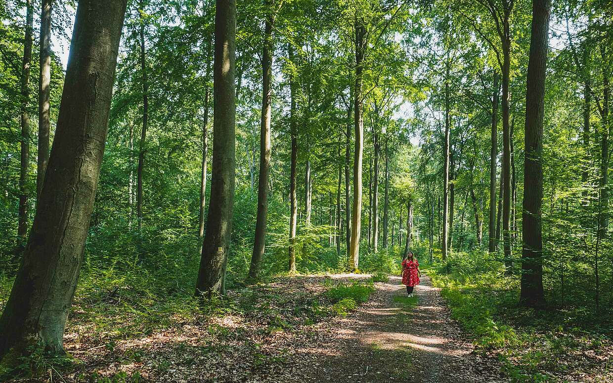 Frau im Wald