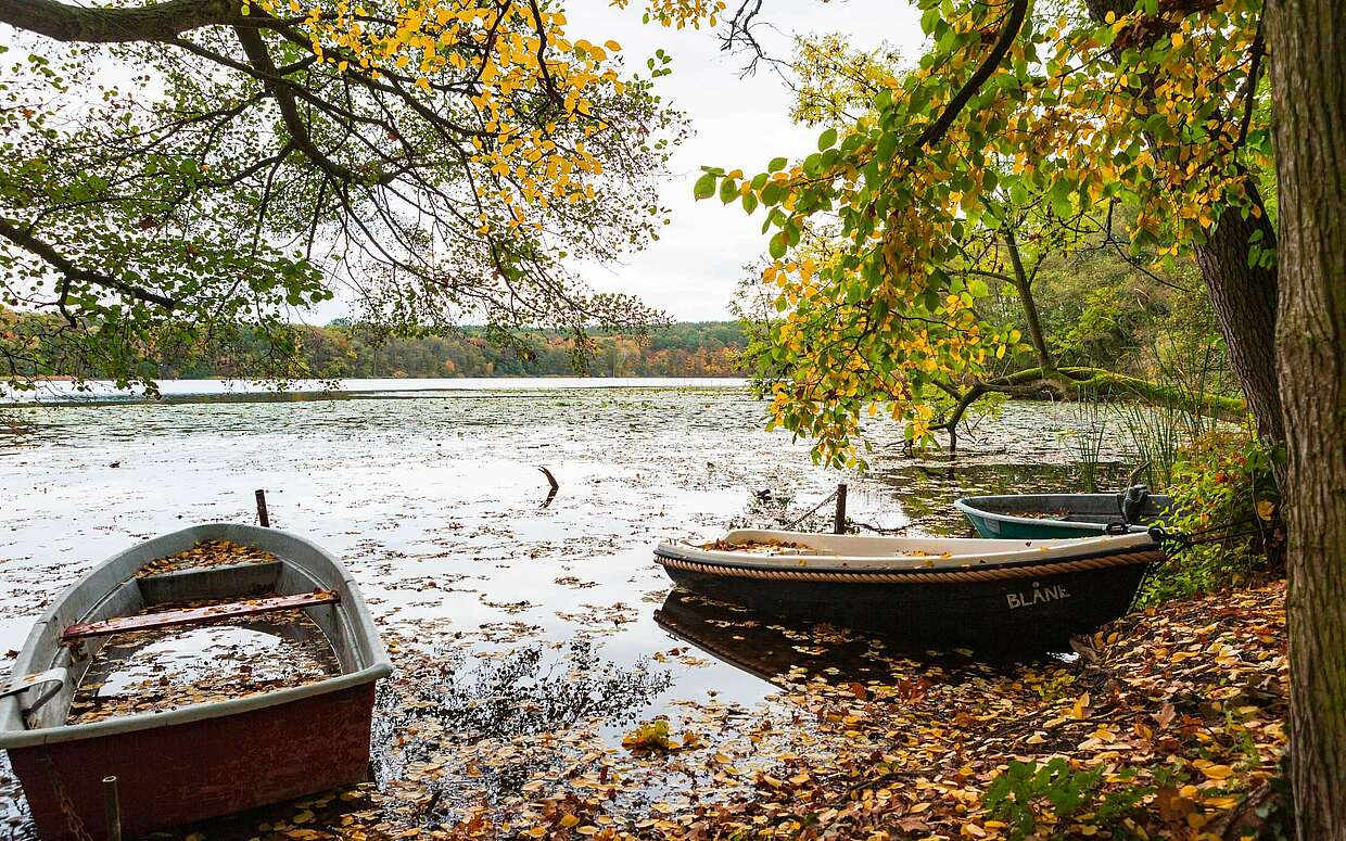 Am Caputher See 