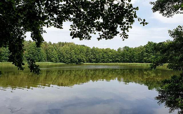 Tütschensee